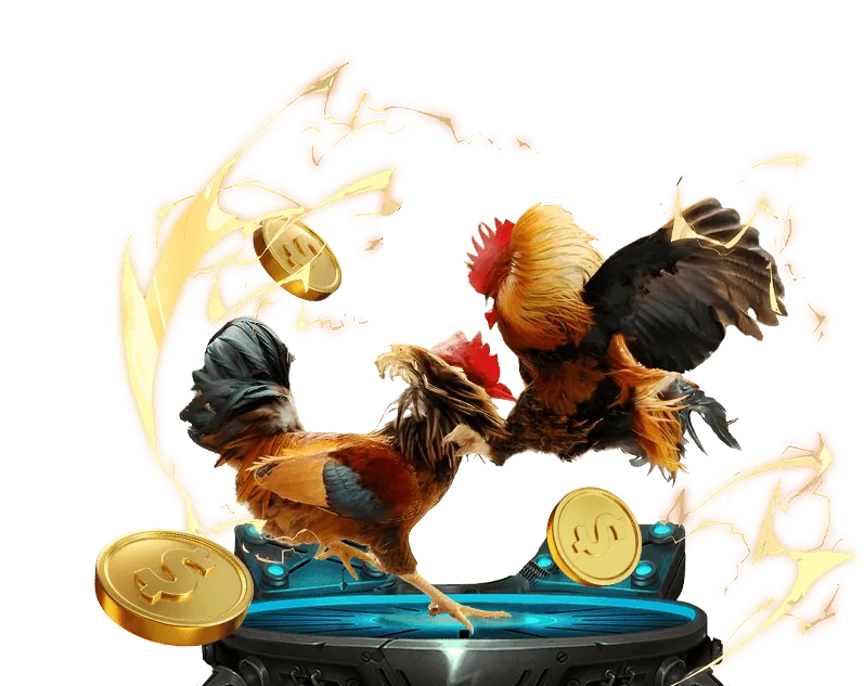 Bí quyết chơi đá gà hiệu quả tại VN138M